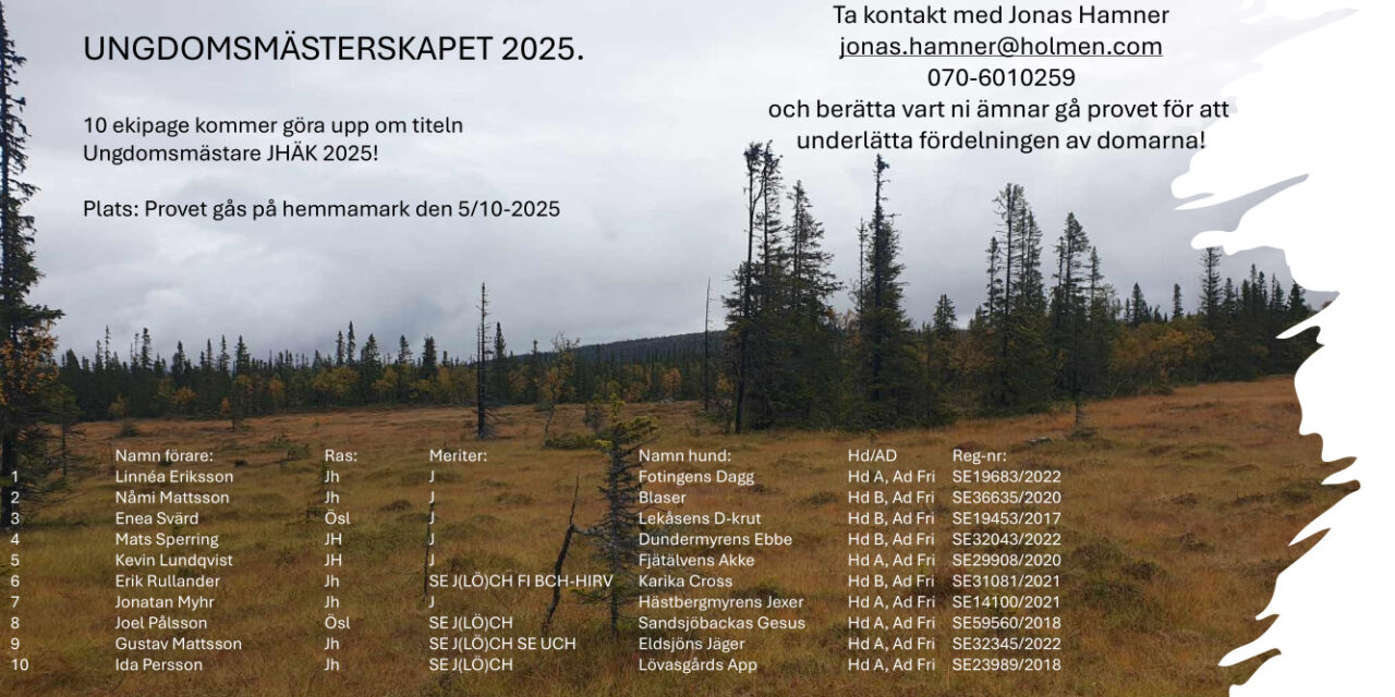 Startfält för Ungdomsmästerskapet 2025